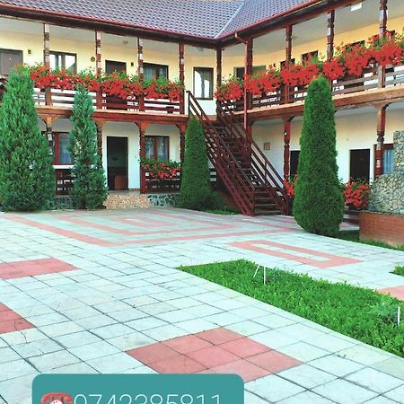 Cris & Mona Hotel Săpînţa Kültér fotó