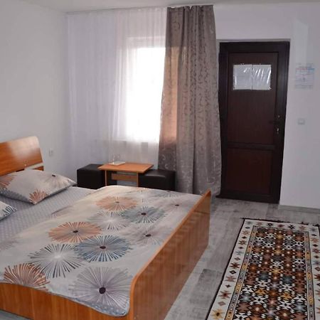 Cris & Mona Hotel Săpînţa Kültér fotó