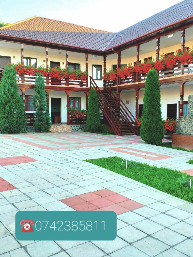 Cris & Mona Hotel Săpînţa Kültér fotó