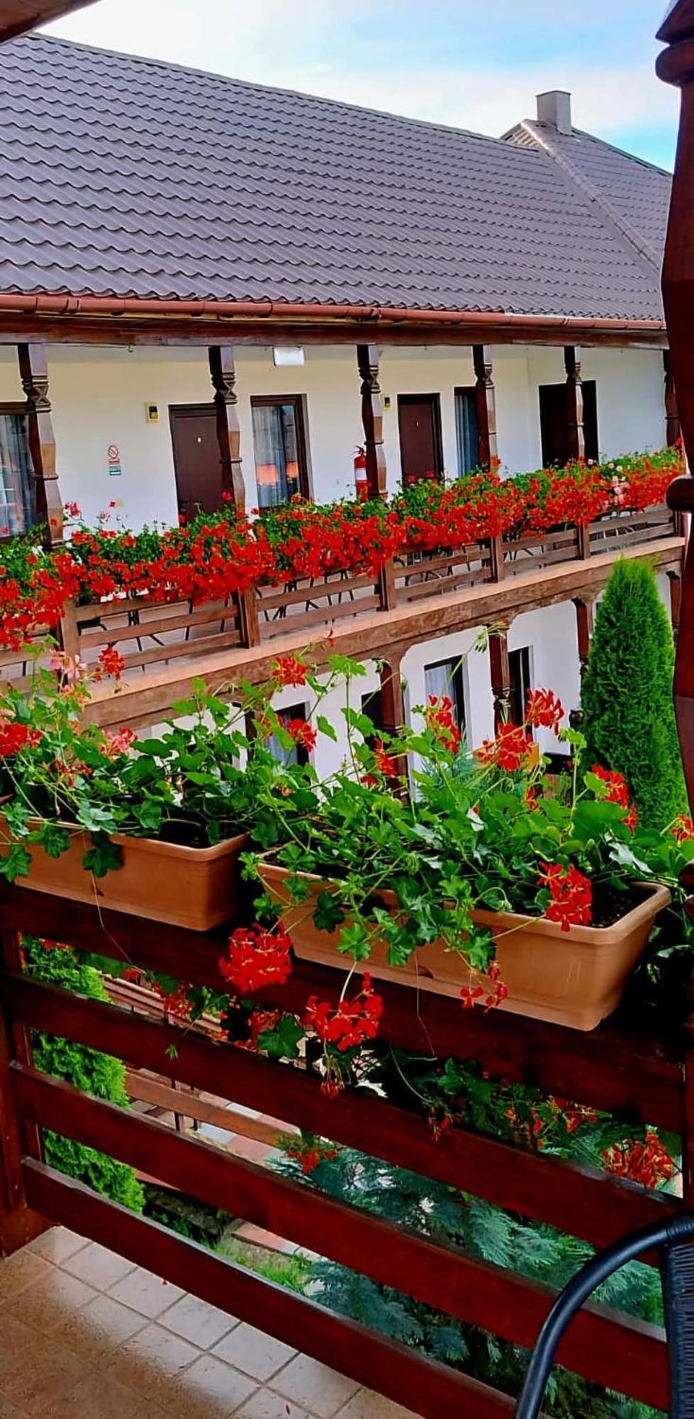 Cris & Mona Hotel Săpînţa Kültér fotó