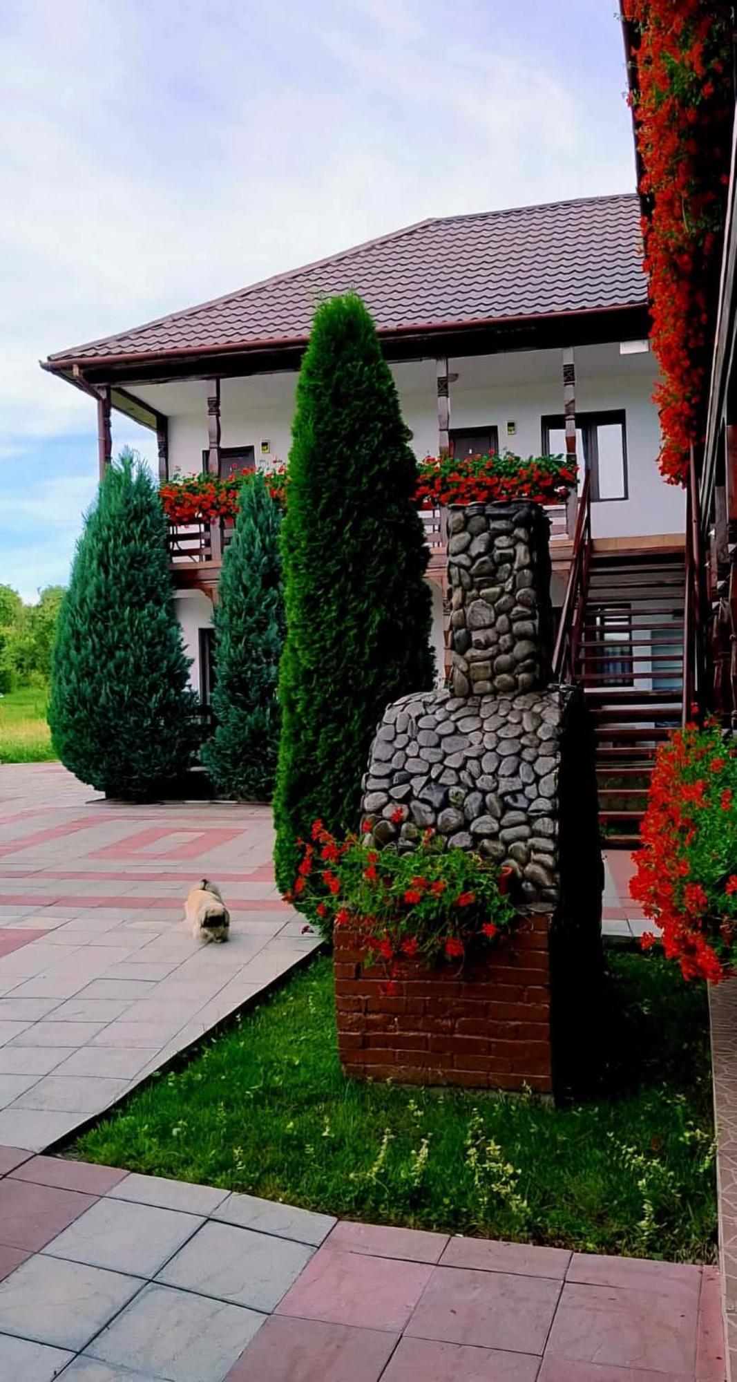 Cris & Mona Hotel Săpînţa Kültér fotó