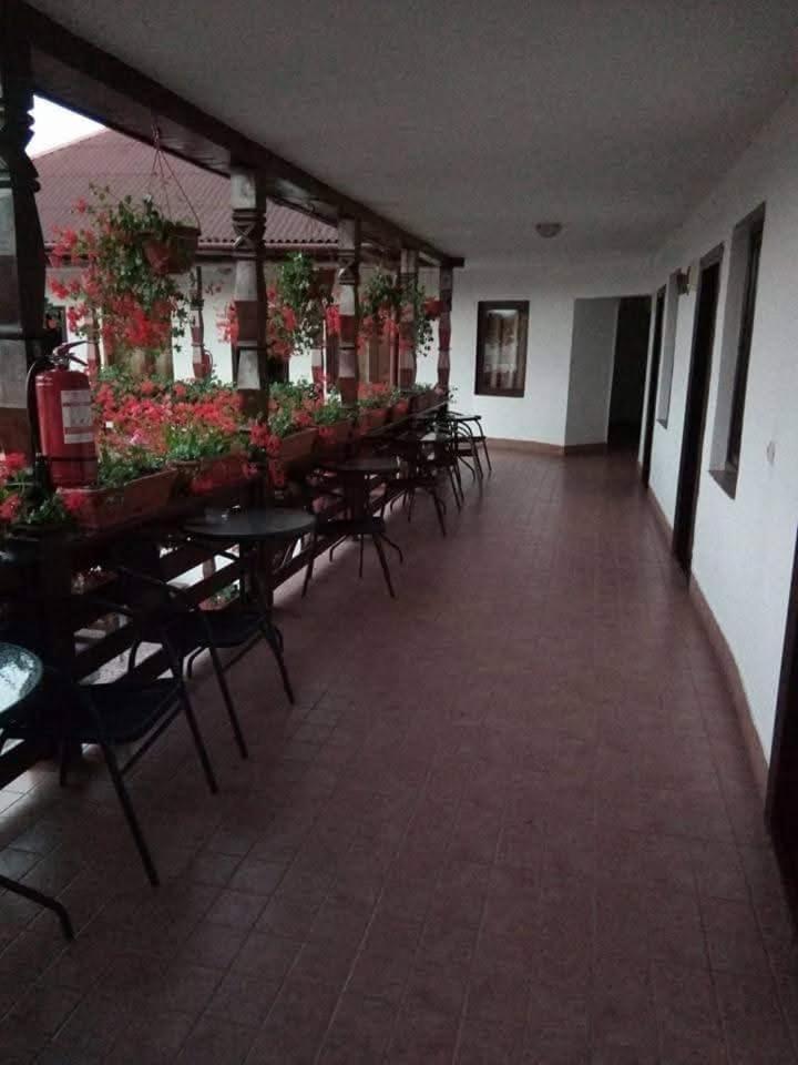 Cris & Mona Hotel Săpînţa Kültér fotó