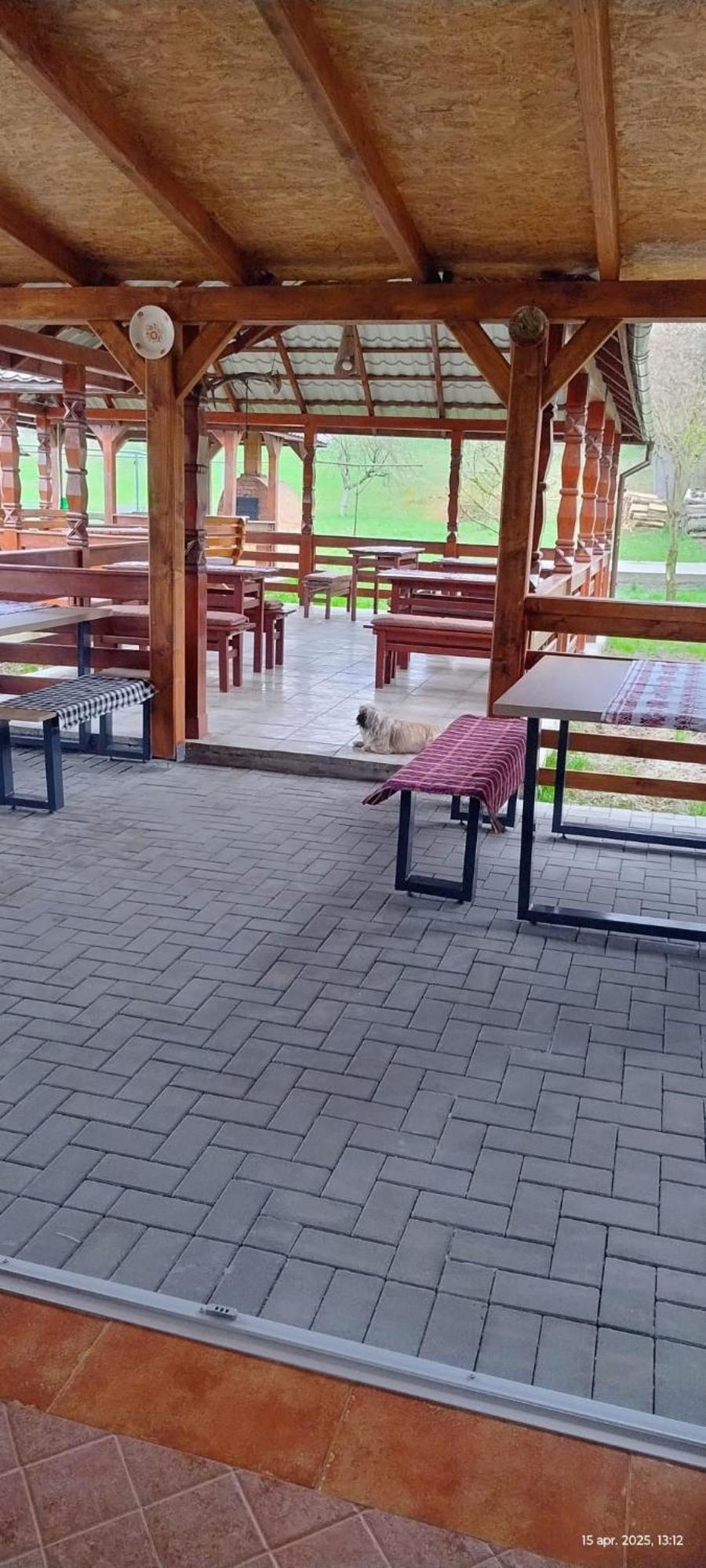 Cris & Mona Hotel Săpînţa Kültér fotó